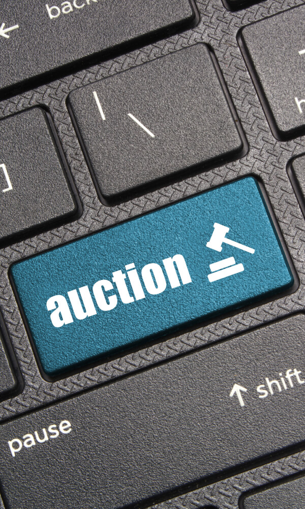 niauctions.com